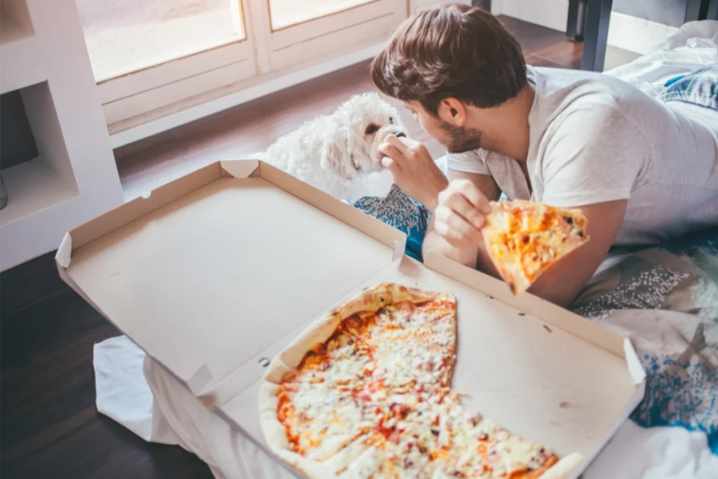 poodle eating carbs