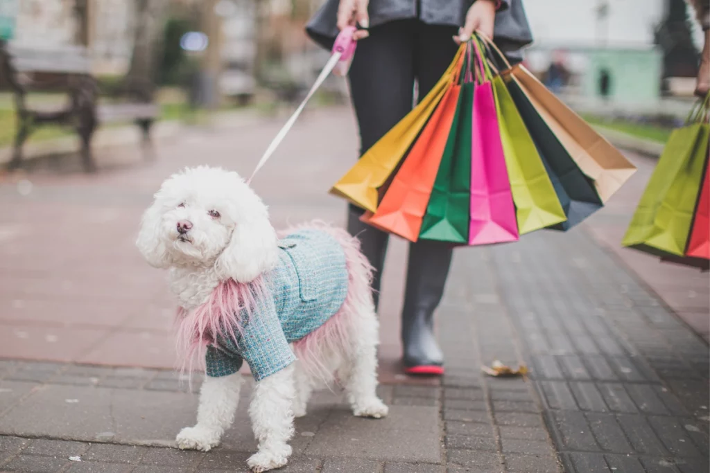 poodle shopping