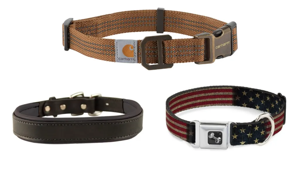 dog collar