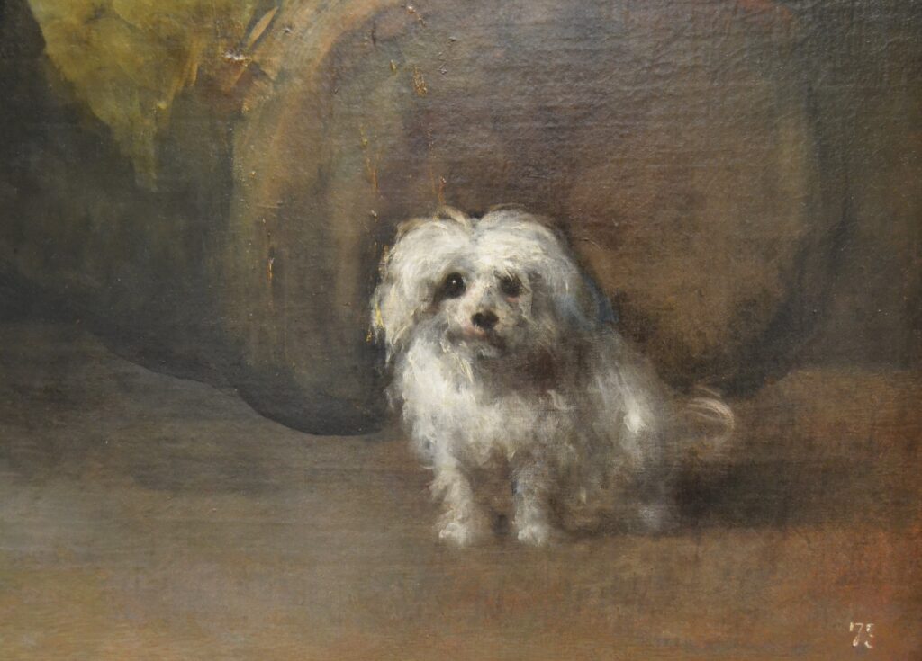 Retrat de Joaquina Candado detall de Goya Museu de Belles Arts de Valencia