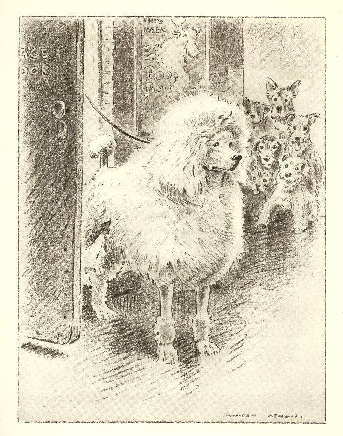 poodle parlor