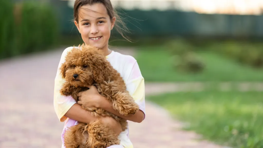 a young girl holding a brown poodle in her arms.