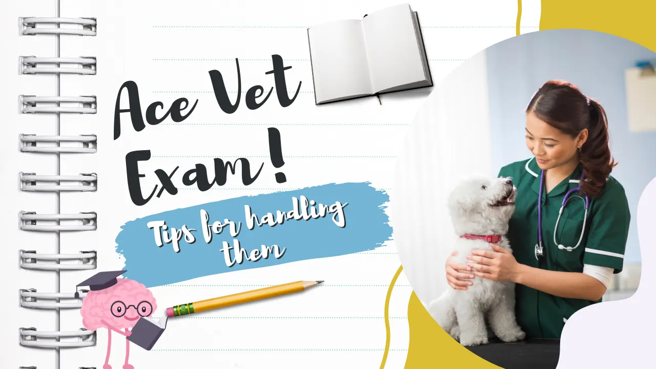 Ace Vet Exams: Tips for Handling Them