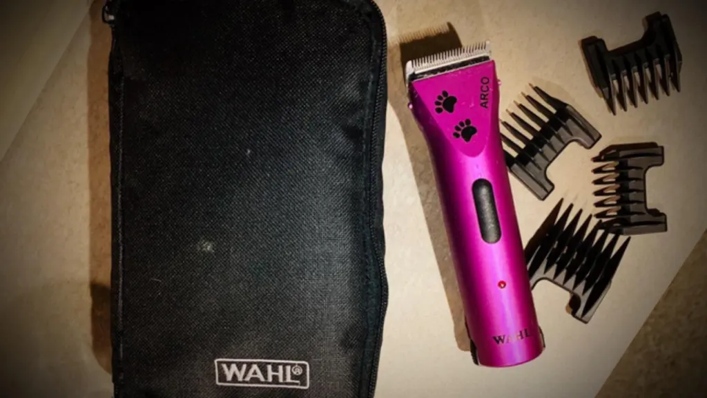 Wahl Arco